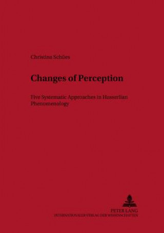 Livre Changes of Perception Christina Schuees