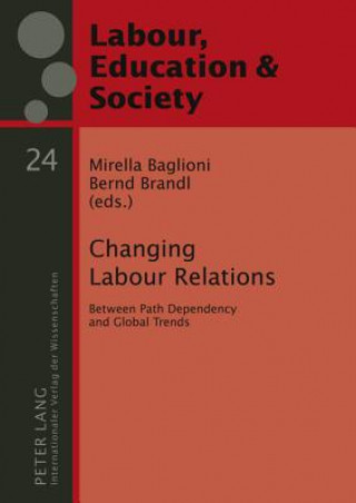 Kniha Changing Labour Relations Mirella Baglioni