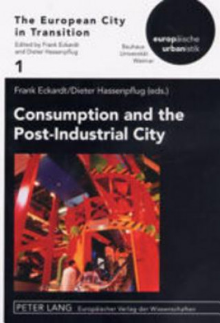 Kniha Consumption and the Post-Industrial City Frank Eckardt