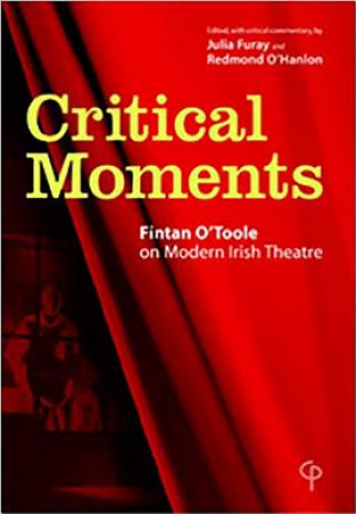 Kniha Critical Moments Fintan O'Toole