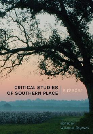 Knjiga Critical Studies of Southern Place William M. Reynolds