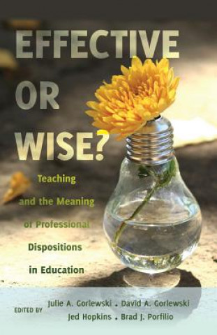 Kniha Effective or Wise? Julie A. Gorlewski