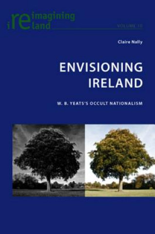 Buch Envisioning Ireland Claire Nally