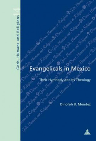 Kniha Evangelicals in Mexico Dinorah B. Mendez