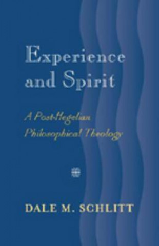 Buch Experience and Spirit Dale M. Schlitt