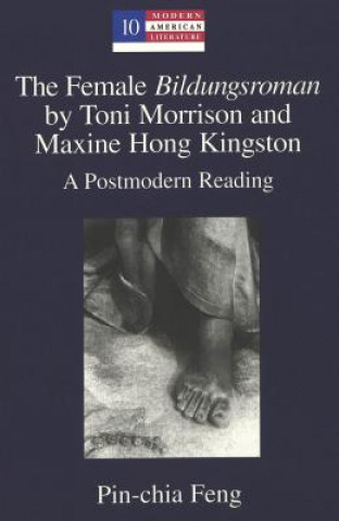 Könyv Female Bildungsroman by Toni Morrison and Maxine Hong Kingston Pin-chia Feng