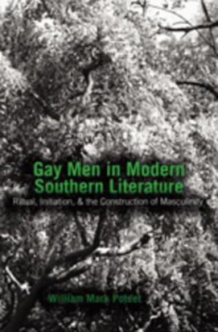 Kniha Gay Men in Modern Southern Literature William Mark Poteet