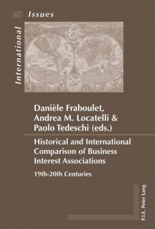 Kniha Historical and International Comparison of Business Interest Associations Dani?le Fraboulet