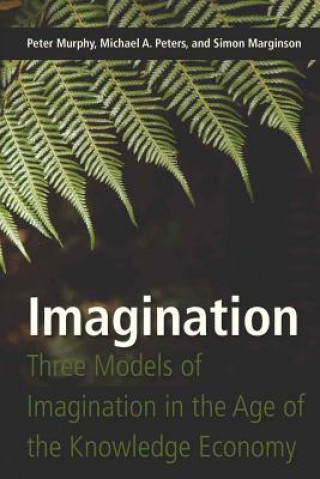 Könyv Imagination Peter Murphy