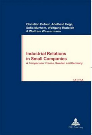 Kniha Industrial Relations in Small Companies Christian Dufour