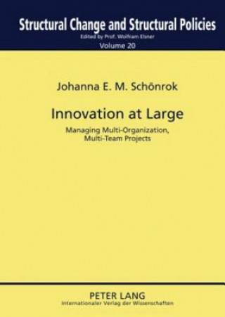 Książka Innovation at Large Johanna E.M. Schoenrok