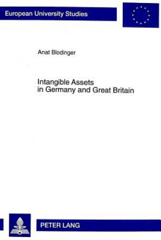 Kniha Intangible Assets in Germany and Great Britain Anat Blodinger