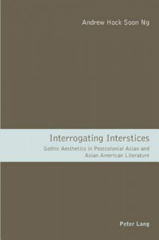 Kniha Interrogating Interstices Hock-Soon Andrew