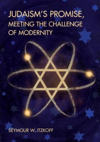 Könyv Judaism's Promise, Meeting the Challenge of Modernity Seymour W. Itzkoff