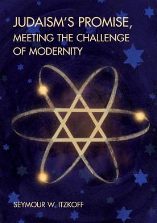 Książka Judaism's Promise, Meeting the Challenge of Modernity Seymour W. Itzkoff