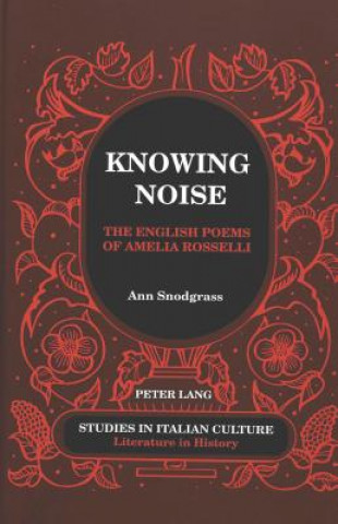 Kniha Knowing Noise Ann Snodgrass