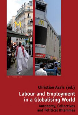 Книга Labour and Employment in a Globalising World Christian Aza?s