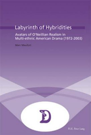 Carte Labyrinth of Hybridities Marc Maufort