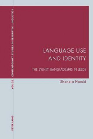 Книга Language Use and Identity Shahela Hamid