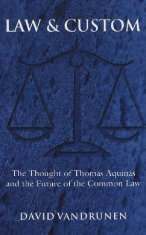 Könyv Law & Custom David VanDrunen