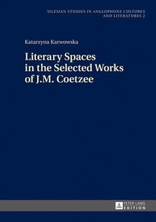 Könyv Literary Spaces in the Selected Works of J.M. Coetzee Katarzyna Karwowska