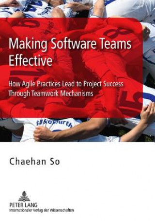 Knjiga Making Software Teams Effective Chaehan So