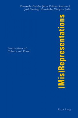 Книга (Mis)Representations Julio Canero Serrano