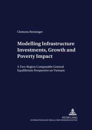 Könyv Modelling Infrastructure Investments, Growth and Poverty Impact Clemens Breisinger