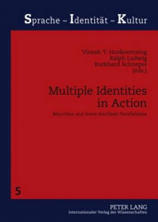 Kniha Multiple Identities in Action Vinesh Y. Hookoomsing