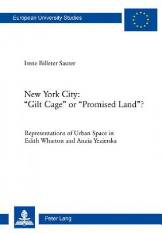 Buch New York City: "Gilt Cage" or "Promised Land"? Irene Billeter Sauter