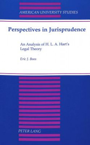 Libro Perspectives in Jurisprudence Eric J Boos