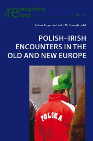 Kniha Polish-Irish Encounters in the Old and New Europe Sabine Egger