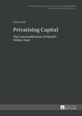 Kniha Privatising Capital Gavin Rae