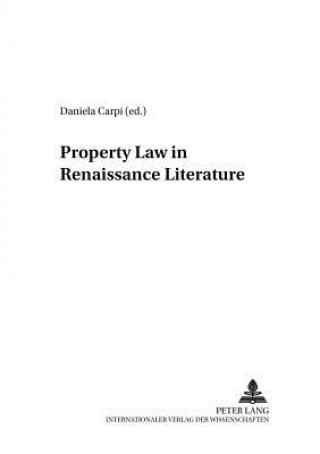 Książka Property Law in Renaissance Literature Daniela Carpi