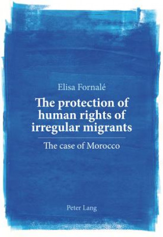 Kniha protection of human rights of irregular migrants Elisa Fornale