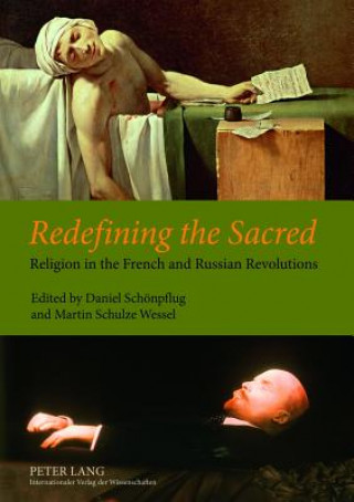 Könyv Redefining the Sacred Daniel Schönpflug