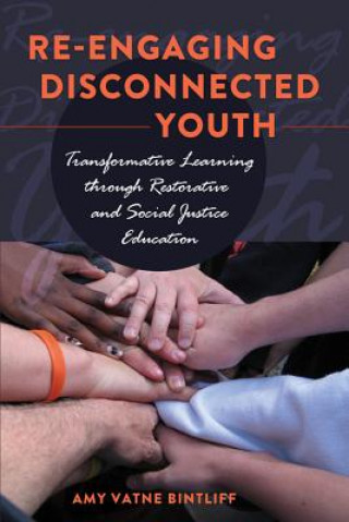 Kniha Re-engaging Disconnected Youth Amy Vatne Bintliff