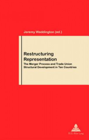 Knjiga Restructuring Representation Jeremy Waddington