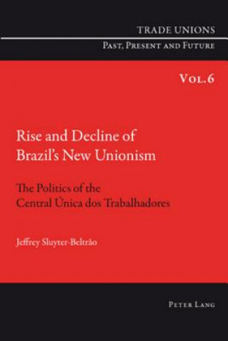 Kniha Rise and Decline of Brazil's New Unionism Jeffrey Sluyter-Beltrao