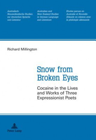 Kniha Snow from Broken Eyes Richard Millington