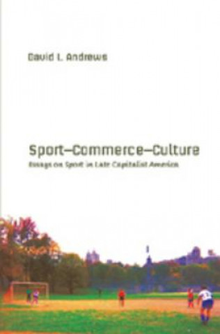 Kniha Sport-- Commerce-- Culture David L. Andrews