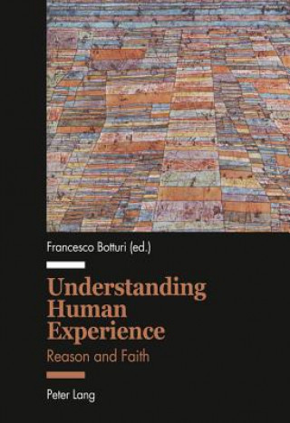 Kniha Understanding Human Experience Francesco Botturi