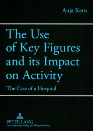 Buch Use of Key Figures and its Impact on Activity Anja Kern