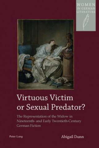 Könyv Virtuous Victim or Sexual Predator? Abigail Dunn