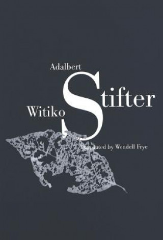 Kniha Witiko Adalbert Stifter