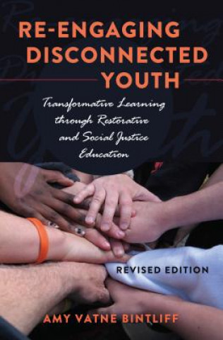 Книга Re-engaging Disconnected Youth Amy Vatne Bintliff