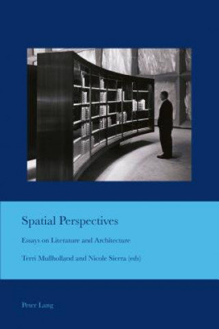 Kniha Spatial Perspectives Terri Mullholland