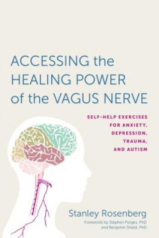 Kniha Accessing the Healing Power of the Vagus Nerve Stanley Rosenberg