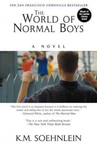 Könyv World of Normal Boys Karl Soehnlein Soehnlein