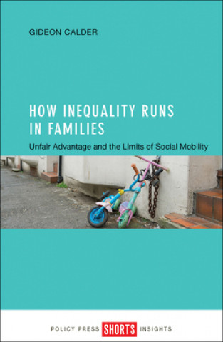 Book How Inequality Runs in Families Gideon Calder